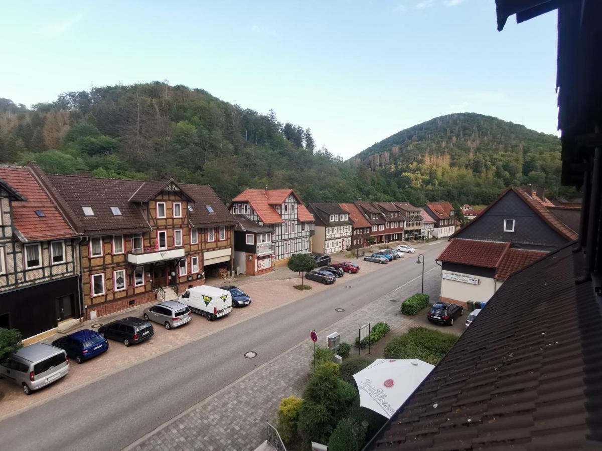 Hotel And Restaurant Bergschloesschen Zorge Bagian luar foto