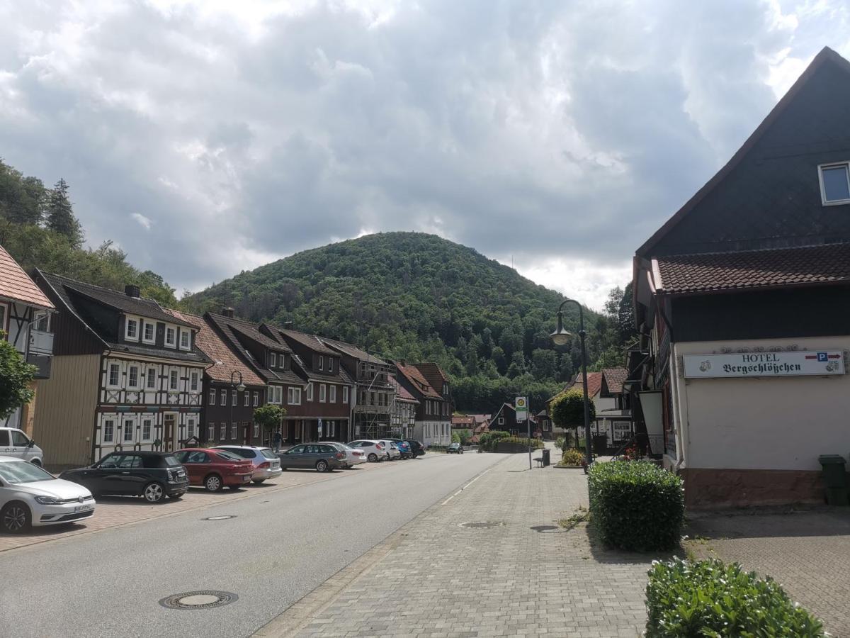 Hotel And Restaurant Bergschloesschen Zorge Bagian luar foto