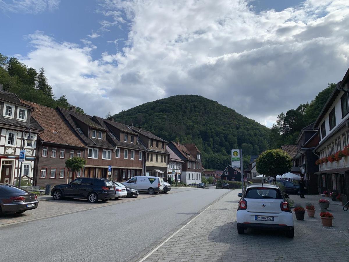 Hotel And Restaurant Bergschloesschen Zorge Bagian luar foto